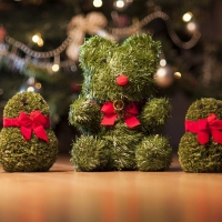 teddy bear by christmas tree