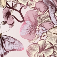 Butterflies & Orchids