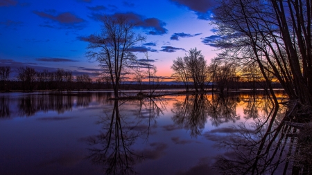 Sunset on purple lake - blue, esome, amazing, brown, silhouette, forest, sunrays, purple, mirror, nice, lamdscape, sky, clouds, trunk, trees, water, beautiful, pond, cool, orange, black, sunset, awesome, shadows, lakes, leave