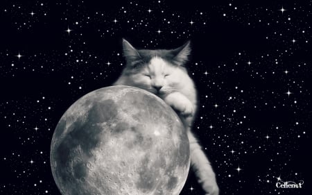 Good night, sleep tight! - moon, by cehenot, creative, stars, cat, black, fantasy, pisica, white, animal, sleep, paw, bw, sky, luna