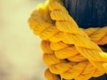 Yellow Rope