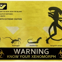 Xenomorph