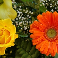 Flower garden bouquet