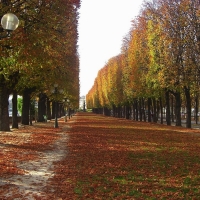 Street in Paris, France