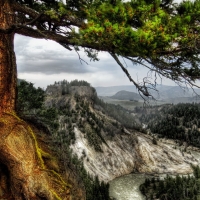 View of Yellowstone National Park