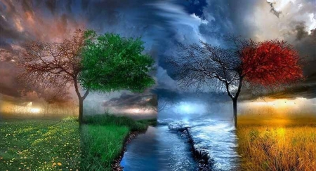 Seasons - collages, nature, photography, beauty, art