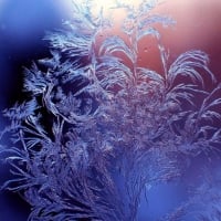 Winter Frost 