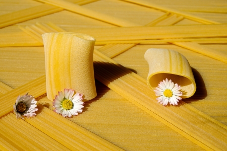 â€¢áƒ¦âœ¿áƒ¦â€¢ - nature, noodle, yellow, flower