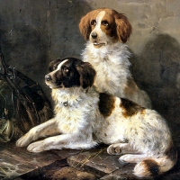 Two Spaniels Waiting for the Hunt - Dogs