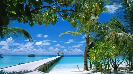 Beach Dock - nature, sky, beach, pier, trees, clouds, dock, sea