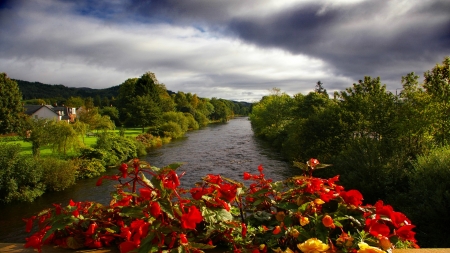 Forest River - nature, trees, forest, river, clouds, house