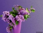 VASE OF LILACS