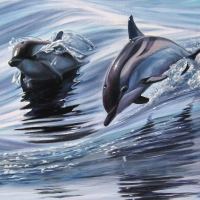 Dolphins