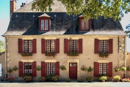 House in Apremont, France - house, Apremont, France, tree