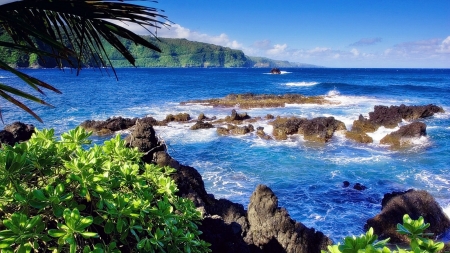 Heavenly Place - nature, ocean, beach, trees, palm, sea, rocks