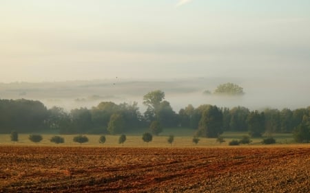 Early Autumn Landscape - trees, autumn, fields, mist, landscape