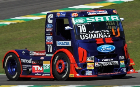 ford racing truck - ford, racing, track, truck, grass