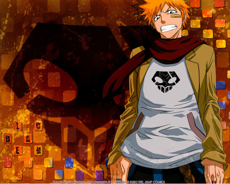 ichigo - anime, ichigo, bleach, animewallpapers