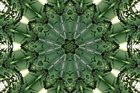 Green - fractal, colors