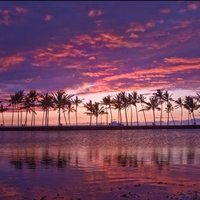 Cool Sunset