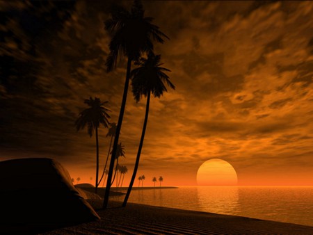 Tropic of Capicorn  - moon, palmtrees, sunset, beach