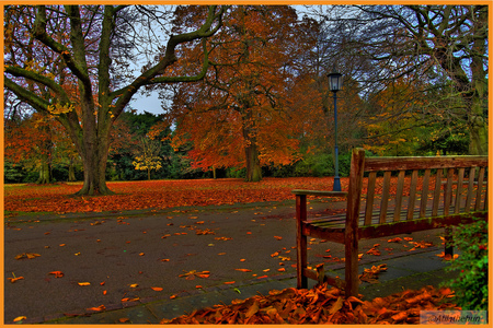 ATUEM - bench, reds fire, fall colors