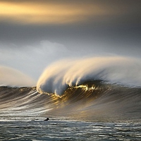 Golden Wave of Beauty