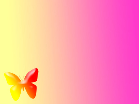 butterfly - butterfly, yellow, pink, red