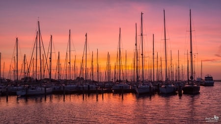 Sunset at the Harbor - harbor, sunset, boats, sea