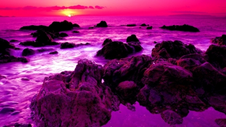 Purple Beach