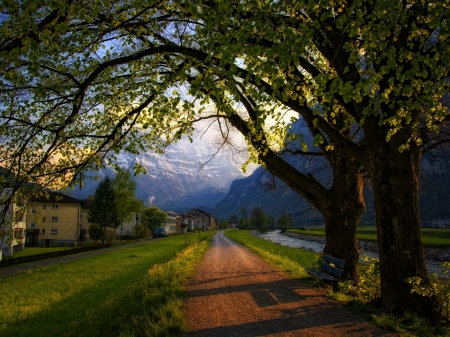 Village in the Alps in the Evening Light - village, trees, alps, nature, lights, road, mountains, houses