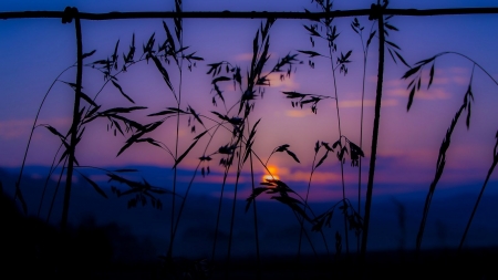 Summer Sunset - nature, sky, clouds, summer, sunset, mountains