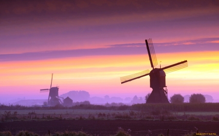 Windmills - windmills, twilight, sky, landscape