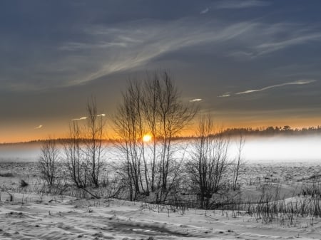 Winter  Sunset - clouds, trees, winter, fog, snow, sunset, nature, field, sky