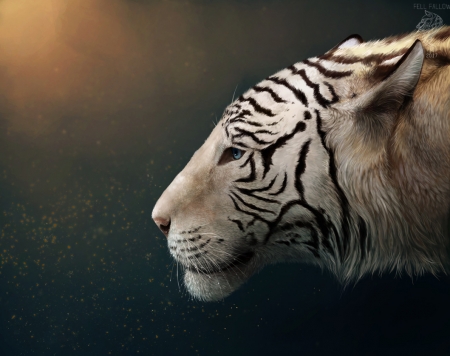 Pensive - white, pensive, art, carolina lang, luminos, tiger, fantasy