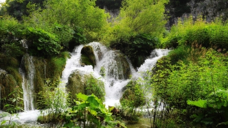 Beautiful Waterfall - trees, forest, nature, waterfall