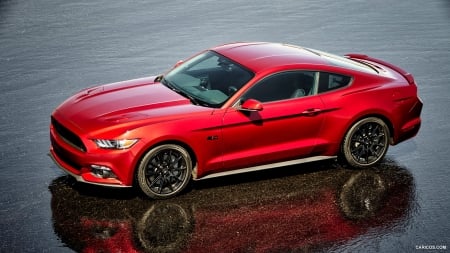 2016 Ford Mustang GT Coupe Black Package - ford, black, gt, package, coupe, muscle, car, red, mustang