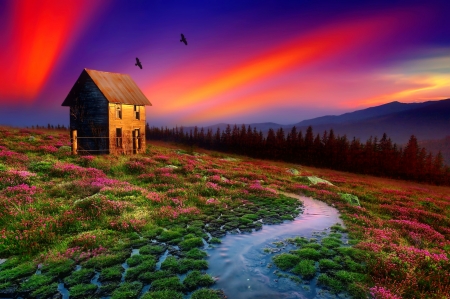 Mountain house at sunset - pretty, house, beautiful, creek, stream, lovely, mountain, wildflowers, colorful, sunset, art, sky