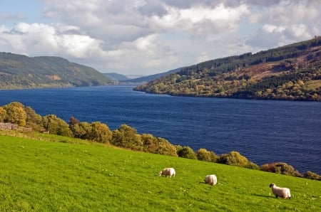 Loch Tay - Scotland - scottish lochs, perthshire, loch tay, scottish highlands, scotland