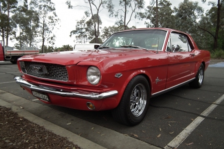 1966 FORD MUSTANG COUPE - image, ford, mustang, car