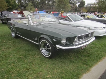 1968 FORD MUSTANG CONVERTIBLE - CAR, IMAGE, MUSTANG, FORD