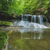 forest waterfall