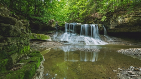 forest waterfall - fun, nature, cool, forest, river, waterfall