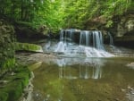 forest waterfall