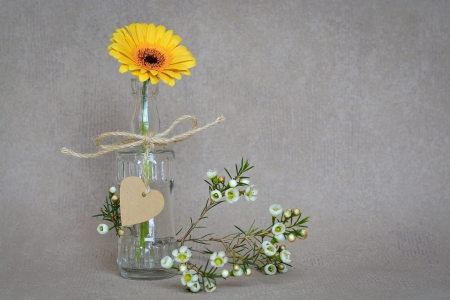 Still Life - gerbera, yellow, bloom, heart, flower, deco, vase