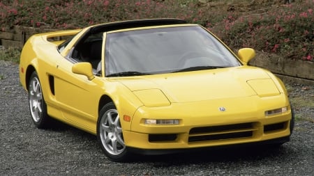 1995 Acura NSX-T - sports, nsx-t, acura, car