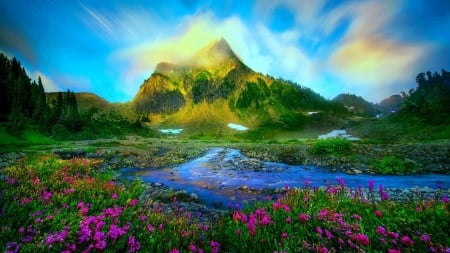 Mountain Landscape - nature, sky, lake, landscape, clouds, snow, mountains, wildflowers