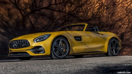 2018 Mercedes-AMG GT C Roadster - sports, amg, car, roadster, gt c, mercedes