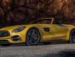 2018 Mercedes-AMG GT C Roadster