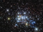 The Massive Stars in Westerlund 1